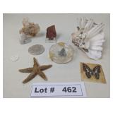 CRYSTALS, FOCK SLICE, STAR FISH, BUTTERFLY, FROG,