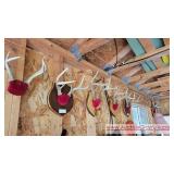 ANtlers