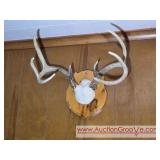 Antlers
