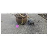 Concrete Frog, Planter