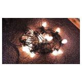 Edison Bulb Strand