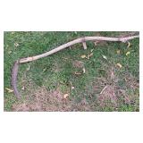 Scythe
