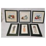 Fruit Vegetable Signed Watercolors Prints