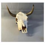 Cattle Skull Mexico