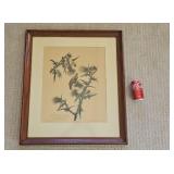 John J Audubon Framed Bird Print Engraving Nature