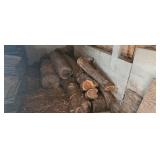 Wood Lot Hickory(?)