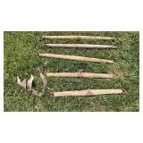 Single Tree Lot