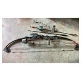 Compound Bow (RH) w/ Arrows & Bow Quiver
