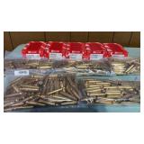 .204 Ruger Unprimed Brass750 ct