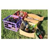 Bottle Lot Large and Small