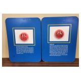 Musket Parts & Barbed Wire Framed Displays - Set o