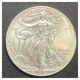 2013 American Silver Eagle