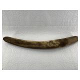 Ancient well preserved walrus ivory tusk, 5.5 poun
