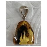 Piece of Baltic amber with a remarkable internally