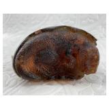 Outrageous massive piece of authentic amber about