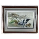 John Pitcher signed and numbered print  "Loon Aler
