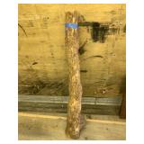 Large branch segment of master birch 49" tall and