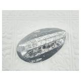 4 3/4" Orthoceras fossil