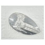 5" Orthoceras fossil