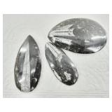 Two orthoceras fossils