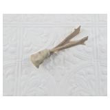 Small piece of coral