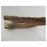 16' Piece of mammoth ivory in need of further pres