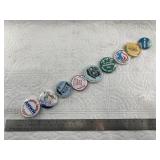 Assorted Alaskan pins