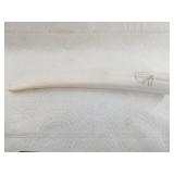 Bull walrus tusk with small scrimshaw of a walrus
