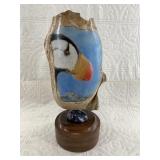 Michael Scott colored scrimshaw of a puffin set on