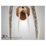 Andy Nunahuff Penayah scrimshawed beautiful female