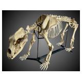 ***PLEASE READ ADDITIONAL TERMS***SHIPPING INFO***