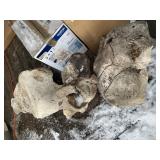 3 Partial whale skulls
