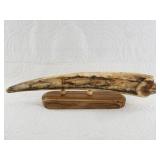 Michael Scott scrimshaw of salmon about to be on t