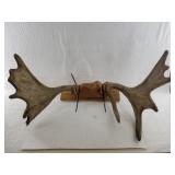 Moose rack mount 26" wide