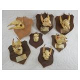 Collection of "Trophy Alaskan Mosquito" made from