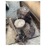 Lot with several burls (Maple?)