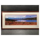 Lovely photo of Cook Inlet with fields of fireweed
