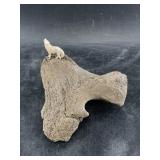 Small moose antler carving of a howling wolf, set