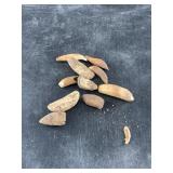 Bag of mostly fossilized walrus teeth