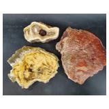 3 Stunning segments of polished petrified wood, ve