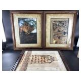3 pieces of framed artwork. Please see photos for