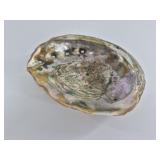 Iridescent Abalone Shell Dish