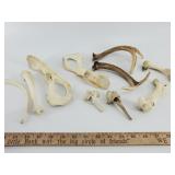 Mixed Animal Bone & Antler Specimens