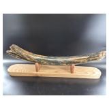 Fossilized Juvenile Mammoth Tusk 26in