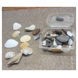 Sea shells and rocks