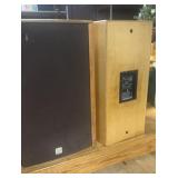 2- Peavey SSE-15 Sanctuary speakers