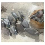 Duck decoys