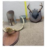 Feed Scoop, Deer sheds