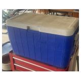 Coleman cooler
