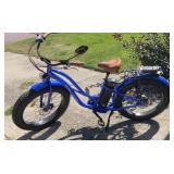 Playa cruiser electric bicycle